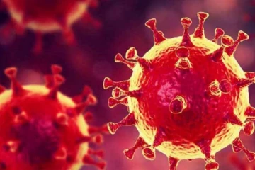 இந்தியாவில் பரவும் ஆபத்தான கோவிட் வைரஸ் இலங்கையிலும் கண்டுபிடிப்பு