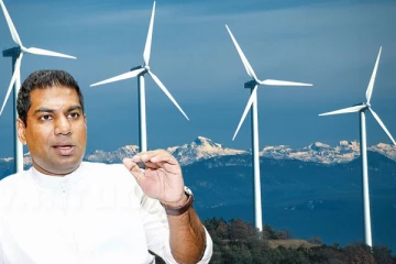 மன்னார் - கிளிநொச்சி மாவட்டங்களில் களமிறங்கும் அதானி கிறீன் எனர்ஜி நிறுவனம்!