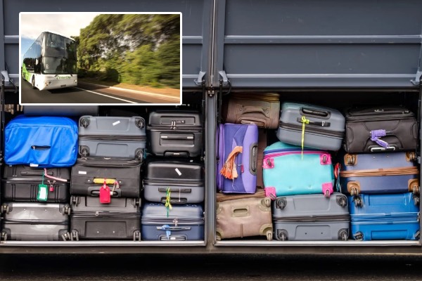 Toddler Found Alive in Suitcase Aboard New Zealand Bus