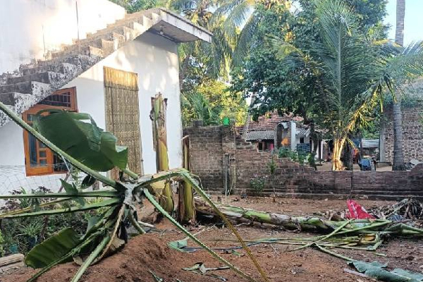 கிராமத்திற்குள் புகுந்து காட்டு யானை அட்டகாசம்: அம்பாறையில் சம்பவம்! | Elephant Rushes Into Village Incident In Ampara