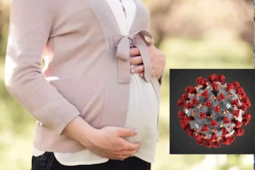 கருவில் இருந்த இரண்டு குழந்தைகளின் மூளையை பாதித்த கோவிட் தொற்று! ஆய்வில் அதிர்ச்சி தகவல்