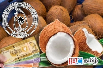 அதிகரிக்கும் தேங்காய் விலை : வெளியானது காரணம்