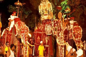 கண்டி எசல பெரஹெராவை முன்னிட்டு இன்று கப் நடுதல்