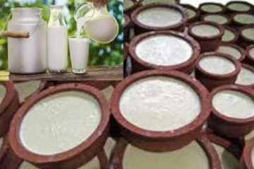 කිරි නිපදවීම සම්බන්ධයෙන් රජය විසින් හදිසියේම තීරණයක් ගනී..