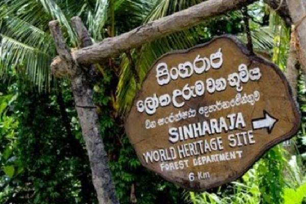 மூன்று ஈரானியர்களுக்கு ஒரு கோடியே 32 இலட்சம் ரூபாய் அபராதம் | Court Fined Three Iranian Singaraja Forest Issue