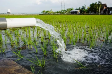 விவசாயிகள் பயன்படுத்தும் நீருக்கு வரியா? மத்திய அரசு விளக்கம்