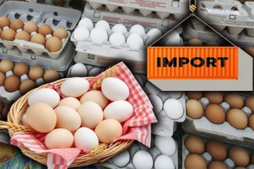 முட்டை இறக்குமதிக்கு அமைச்சரவை அனுமதி