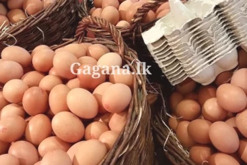 බිත්තර ගැන ඇහෙද්දිත් බය හිතෙනවා - බිත්තර ගිය උඩ..