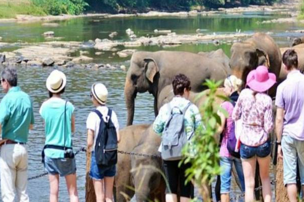 இவர்களை இலக்கு வைத்து பிரதமர் ரணில் போட்ட புதிய திட்டம்! | Sri Lanka Incomes Tourists Foreigners Ranil Plan