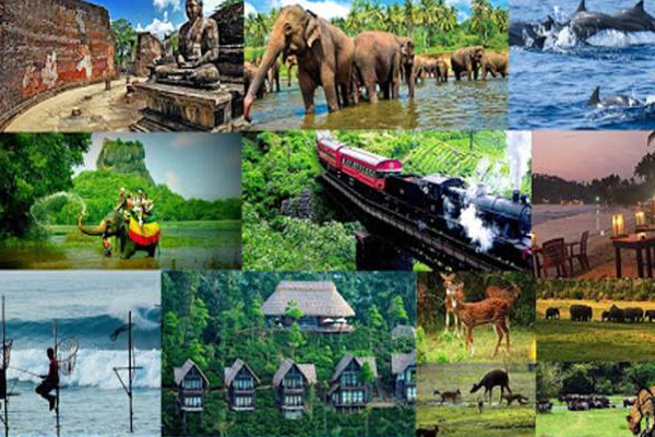இவர்களை இலக்கு வைத்து பிரதமர் ரணில் போட்ட புதிய திட்டம்! | Sri Lanka Incomes Tourists Foreigners Ranil Plan
