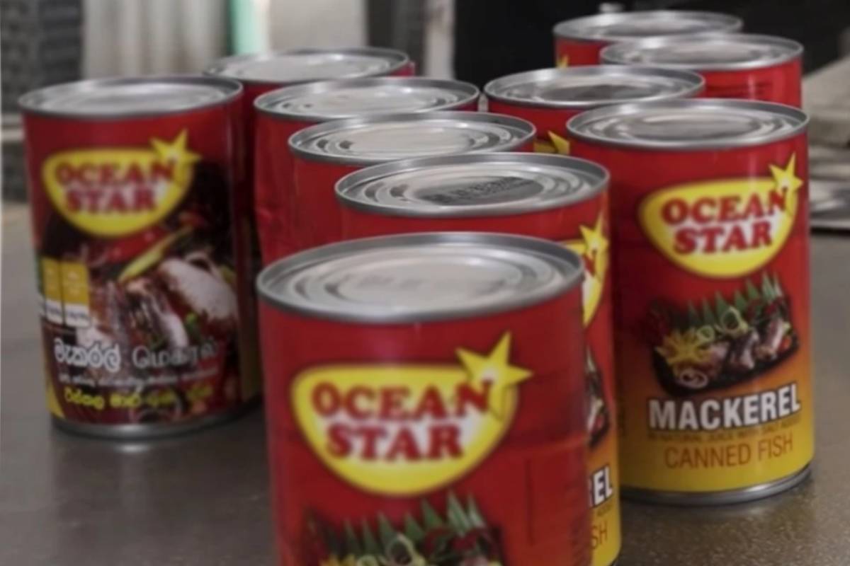 பதப்படுத்தப்பட்ட டின்மீன் இறக்குமதியில் வீழ்ச்சி | Decline In Canned Fish Imports