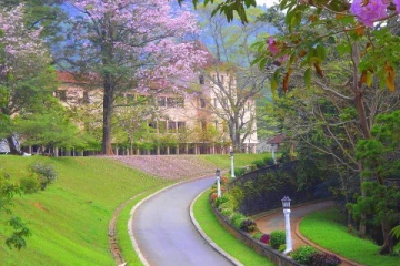 பேராதனை பல்கலைக்கழக மாணவனின் விபரீத முடிவு