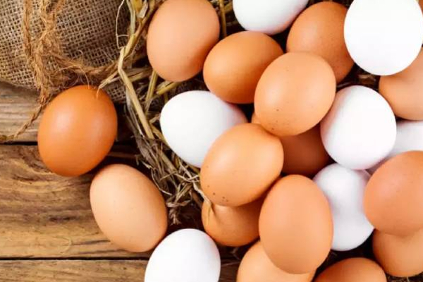 முட்டை விலை தொடர்பில் வெளியான தகவல் | Egg Price Producers Association President Informa முட்டை விலை தொடர்பில் வெளியான தகவல் | Egg Price Producers Association President Informa