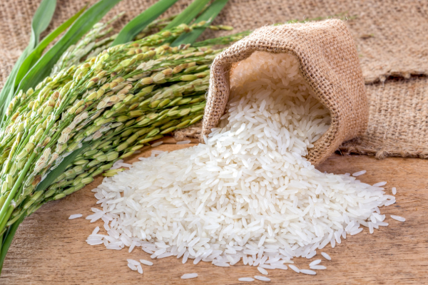 அரிசியின் அதிகபட்ச சில்லறை விலை வர்த்தமானி வெளியீடு | Gazette Publication Maximum Retail Price Of Rice