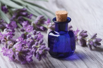 இரவில் தூக்கம் வராமல் தவிர்ப்பவரா நீங்கள்? லாவெண்டர் எண்ணெய் செய்யும் அற்புதம்