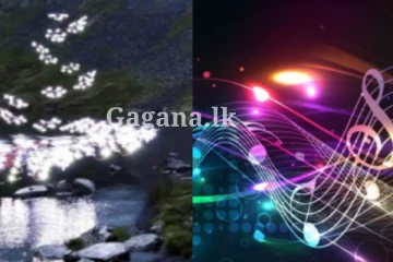 ඔබේ සිතේ පවතින දුක පාළුව 65% අවම කර ගැනීමට කැමතිද? (VIDEO)