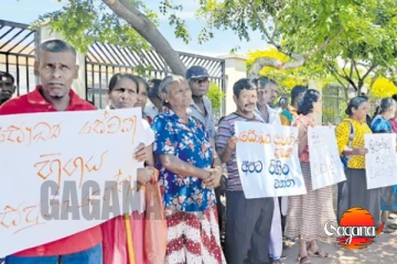 "ජීවත් වෙන්න ඕනේ ලේ ටික පිරිසිදු කරගන්න බෙහෙත් දෙන්න" වකුගඩු රෝගීන් රෝහල ඉදිරිපිට විරෝධතාවයක