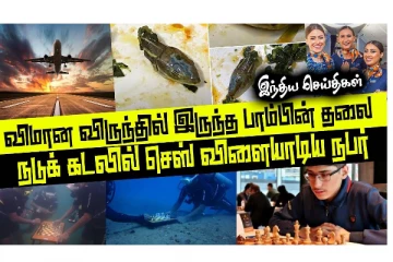 விமான விருந்தில் பாம்பின் தலை - நடுக்கடலில் செஸ் விளையாட்டு; வினோத உலகம்!