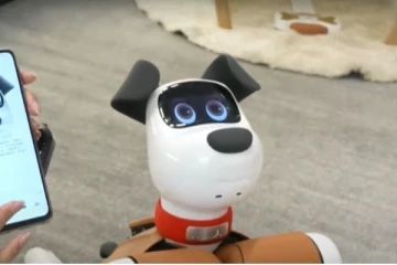 சீனாவில் Ai செல்லப் பிராணிகளின் விற்பனை