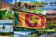 வெளிநாட்டு சுற்றுலாப் பயணிகளால் களைகட்டும் இலங்கை ; 6 நாட்களில் 42,810 சுற்றுலாப் பயணிகள் வருகை