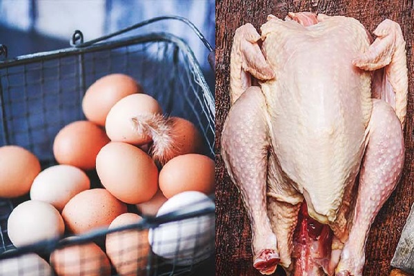 மக்களுக்கு மகிழ்ச்சி தகவல் - குறைவடையும் கோழி இறைச்சி,முட்டை விலை | Decreasing Chicken Meat Egg Prices