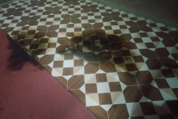 பாஜக தலைமை அலுவலகமான கமலாலயத்தில் பெட்ரோல் குண்டு வீச்சு