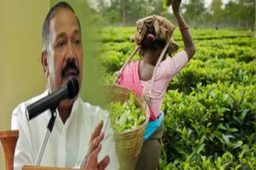 கூட்டு ஒப்பந்தம் மீண்டும் நடைமுறைப்படுத்தப்பட வேண்டும் : இராதாகிருஸ்ணன் உறுதி!