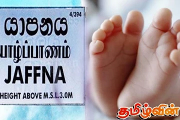 யாழில் எறும்புக் கடிக்கு இலக்காகி 21 நாளேயான சிசு உயிரிழப்பு