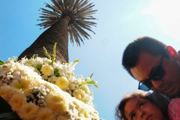 100 வயதான மரத்தினை கட்டிப்பிடித்து கண்ணீர் சிந்திய மக்கள்... உடைந்து போன மில்லியன் மக்கள்