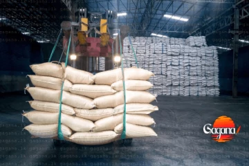 රජයේ ප්‍රමිතියට යුතු සහල් අපි දෙන්නම් - මෝල් හිමියන් කියයි