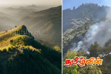 எல்ல மலை உச்சியில் தீப்பரவல்! ஐம்பது ஏக்கர் எரிந்து நாசம்