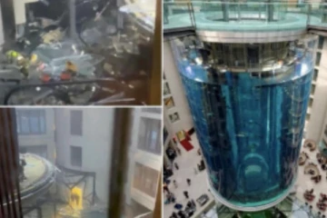 1,500 மீன்கள் வெடித்து சிதறி பெரும் விபத்து : ஜெர்மனியில் பகீர் சம்பவம்