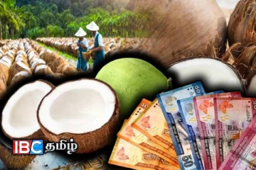 தேங்காய் விலை தொடர்பில் வெளியான அறிவிப்பு