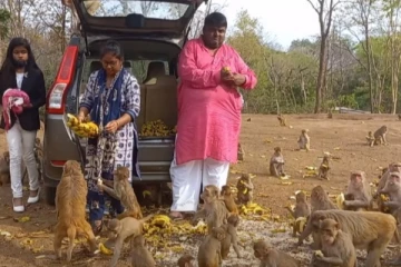 பலரது மனங்களையும் நெகிழ செய்த நபரின் செயலைப் பாருங்க! வைரல் வீடியோ