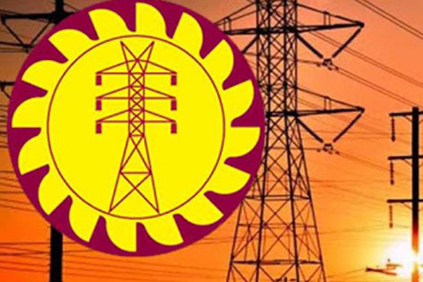 மின்சார சபை தனியாருக்கு விற்பனை! | Electricity Council For Sale Private Individuals