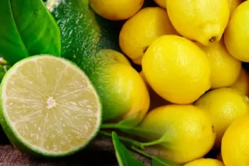 நாட்டில் உச்சத்தை தொட்ட எலுமிச்சையின் விலை