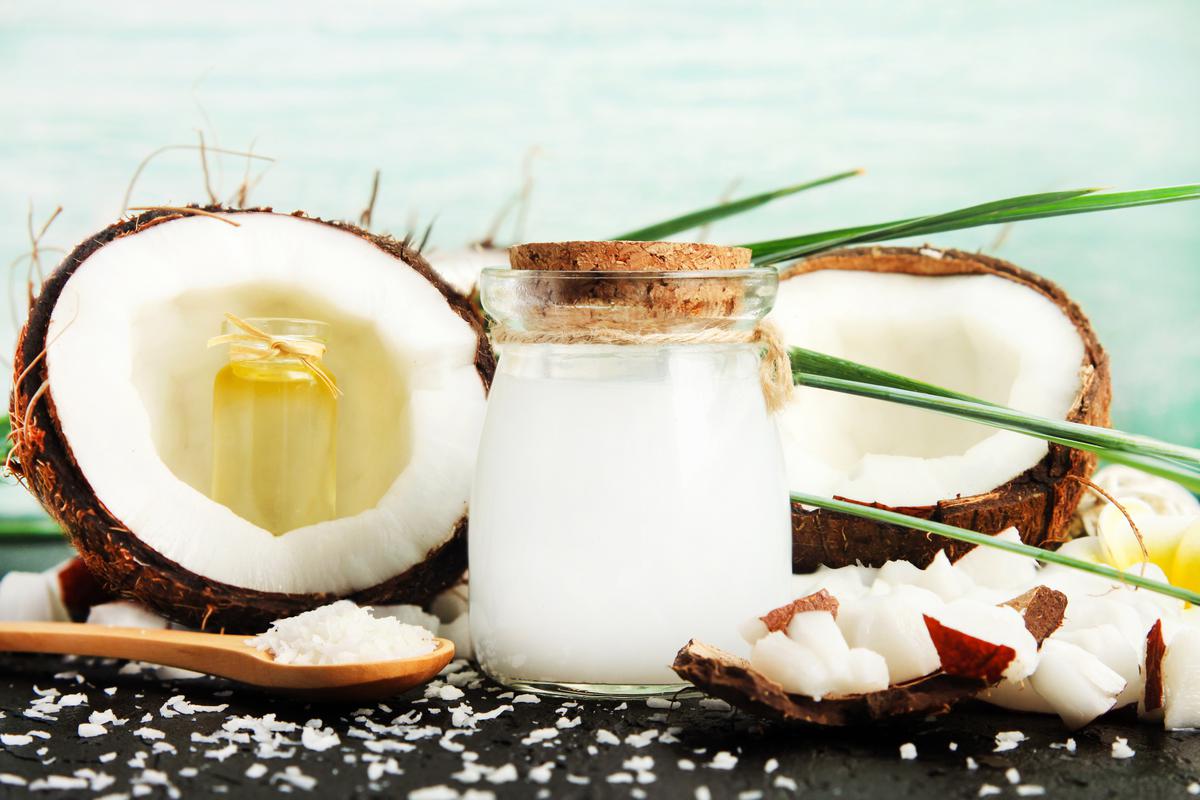 இலங்கையின் தேங்காய் ஏற்றுமதி வருமானம் பாரியளவில் உயர்வு! | Coconut And Coconut Products Export Earnings Rise இலங்கையின் தேங்காய் ஏற்றுமதி வருமானம் பாரியளவில் உயர்வு! | Coconut And Coconut Products Export Earnings Rise