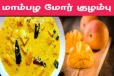 ருசியான மணமணக்கும் மாம்பழ மோர்குழம்பு... இவ்வளவு எளிமையா செய்யலாமா?