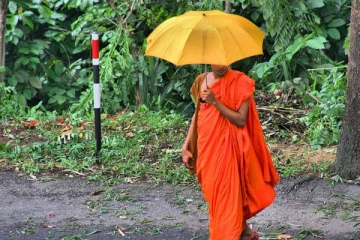 தங்க நகைகளுடன் சிக்கிய  பிக்கு!