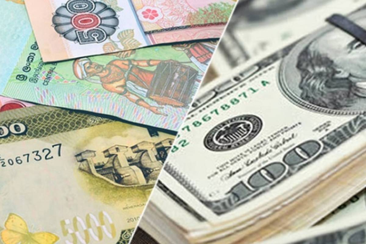 டொலரின் பெறுமதியில் இன்று ஏற்பட்ட மாற்றம் | Dollar Rate In Sri Lanka Rupee Today Usd