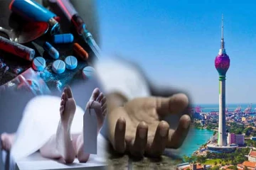 கொழும்பு தாமரை கோபுரத்தில் இருவர் உயிரிழப்பு