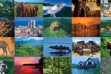 இலங்கைக்கு வந்து குவியும் சுற்றுலா பயணிகள் : வருமானம் குறித்து வெளியான தகவல்