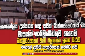 කථානායකගේ සෙංකෝලය ඇල්ලීම නිසා ඇති වූ උණුසම් තත්වයත් සමඟ පාර්ලිමේන්තුවේ සිදු වූ දේ.(VIDEO)