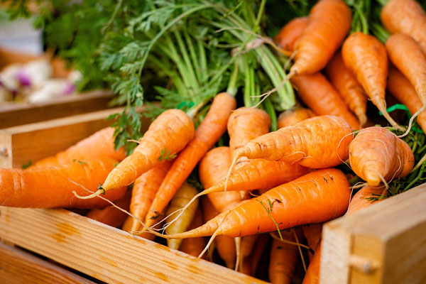 கேரட்டை தினமும் உட்கொண்டு வந்தால் இத்தனை நன்மைகளா | Are There Benefits Of Consuming Carrots Daily