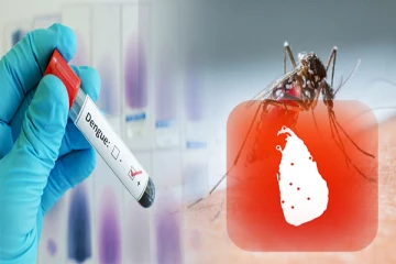 இலங்கையில் அதிகரித்துள்ள டெங்கு நோய்