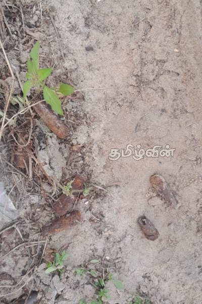 யாழில் காணி ஒன்றிற்குள் இருந்து வெடிபொருட்கள் மீட்பு | Explosives Recovered From Plot Of Land In Jaffna யாழில் காணி ஒன்றிற்குள் இருந்து வெடிபொருட்கள் மீட்பு | Explosives Recovered From Plot Of Land In Jaffna