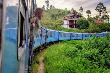 මගීන්, පිරිසකට විශේෂ දැනුම් දීමක්..