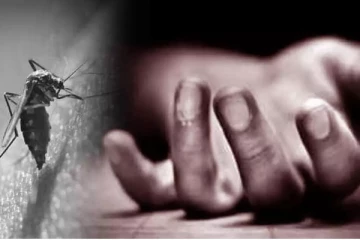 டெங்கு காய்ச்சலினால் மாணவன் உயிரிழப்பு - யாழ் மாநகரில் சம்பவம்