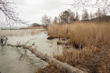 ஒருதலை காதலால் சுவிஸ் இளைஞரின் கொடுஞ்செயல்: ஆயுள் தண்டனை விதித்த நீதிமன்றம்