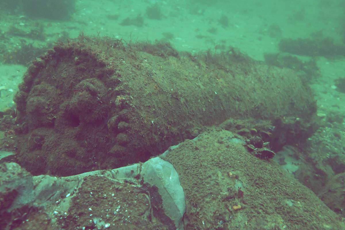 கடலுக்கடியில் கிடக்கும் வெடிகுண்டுகளால் புதிய பிரச்சினை | German Sea Munitions Contaminating Marine Life கடலுக்கடியில் கிடக்கும் வெடிகுண்டுகளால் புதிய பிரச்சினை | German Sea Munitions Contaminating Marine Life